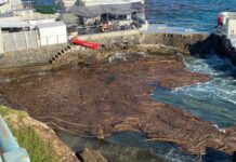 Nervi, scogliera ingombra di detriti e legname dopo il maltempo Nervi legname in mare