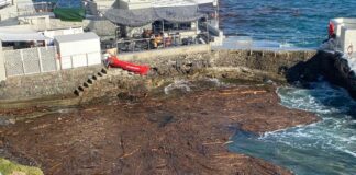 Nervi, scogliera ingombra di detriti e legname dopo il maltempo Nervi legname in mare