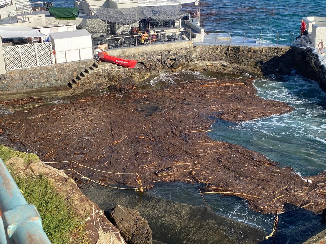 Nervi legname in mare