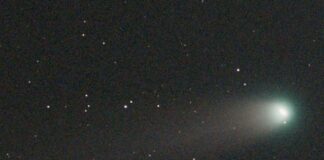 Cometa Lemmon visibile nei cieli della Liguria Cometa Lemmon