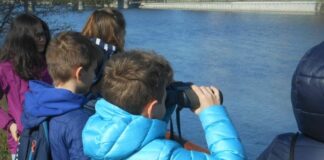 Chiavari, giornata di Birdwatching per bambini e famiglie con Lipu birdwatching, bambini,