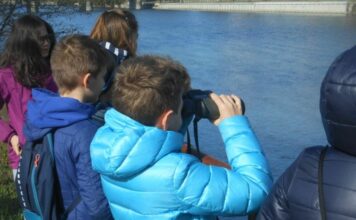 Chiavari, giornata di Birdwatching per bambini e famiglie con Lipu birdwatching, bambini,