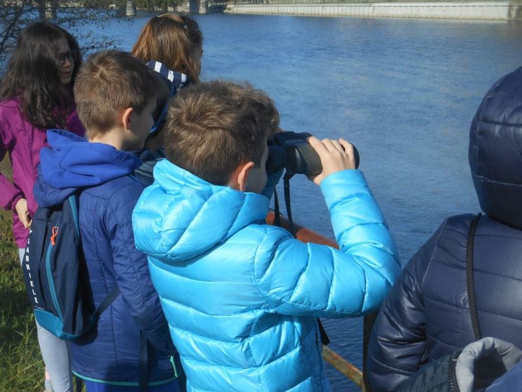 birdwatching, bambini,