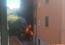 Incendio a Portovenere, sul posto le squadre dei vigili del fuoco Incendio Grazie Portovenere