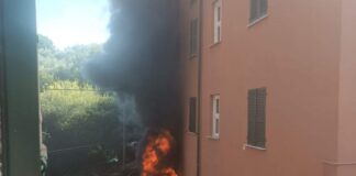 Incendio a Portovenere, sul posto le squadre dei vigili del fuoco Incendio Grazie Portovenere