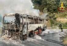 Orco Feglino, in fiamme autobus della TPL autobus fiamme Orco Feglino TPL