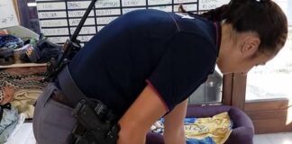 Genova, agenti di polizia salvano una cagnolina nel traffico cagnolina salvata polizia genova