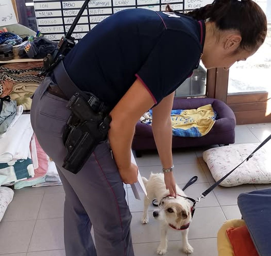 cagnolina salvata polizia genova