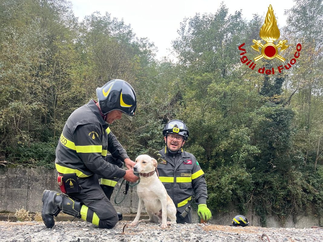 cane salvato vigili del fuoco Rossiglione