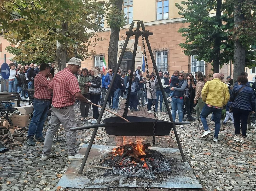 Savignone castagnata