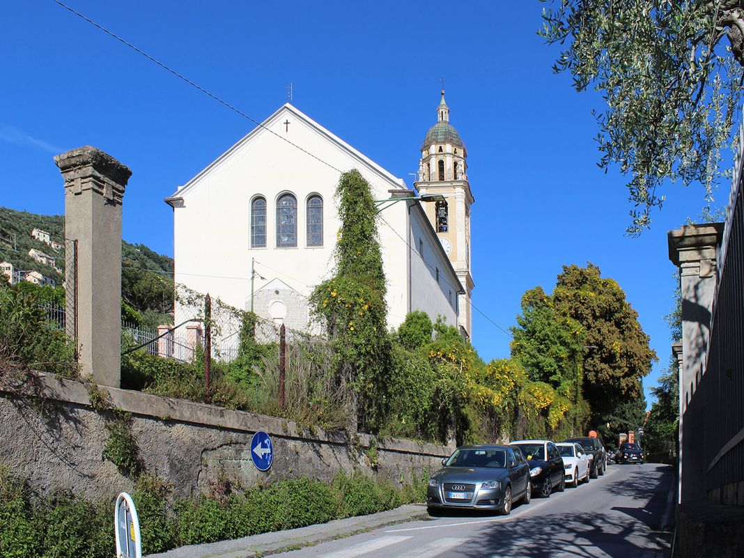 Nervi campostano