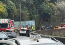 Maltempo Genova, albero caduto in via Fereggiano: sul posto i soccorsi