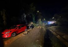 Frana a Rapallo, sono 400 le persone coinvolte. Strada ancora chiusa Frana Rapallo