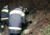 Maltempo Genova, frane e crolli: nelle ultime 24 ore centinaia di interventi Interventi vigili del fuoco Genova