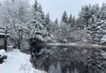 In Liguria è arrivata la neve, dove è caduta e dove è attesa nelle prossime ore Neve in Liguria