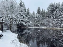 In Liguria è arrivata la neve, dove è caduta e dove è attesa nelle prossime ore Neve in Liguria