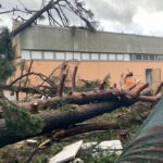 Quarto alberi caduti tromba d'aria 15 novembre 2025