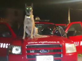 Rocca Nervina, ritrovato il ragazzo disperso nei boschi cane cerca persone, disperso, vigili del fuoco