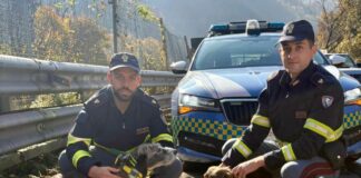Isola del Cantone, cani sull’autostrada A7, salvati dalla polizia stradale cani salvati autostrada A7 Isola del Cantone
