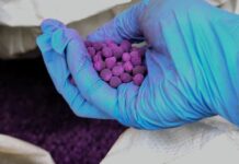 Genova, carico di sostanze sospette sequestrato nel Porto permanganato di potassio genova