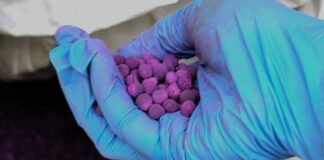 Genova, carico di sostanze sospette sequestrato nel Porto permanganato di potassio genova