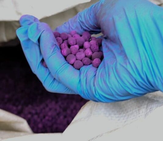 Genova, carico di sostanze sospette sequestrato nel Porto permanganato di potassio genova