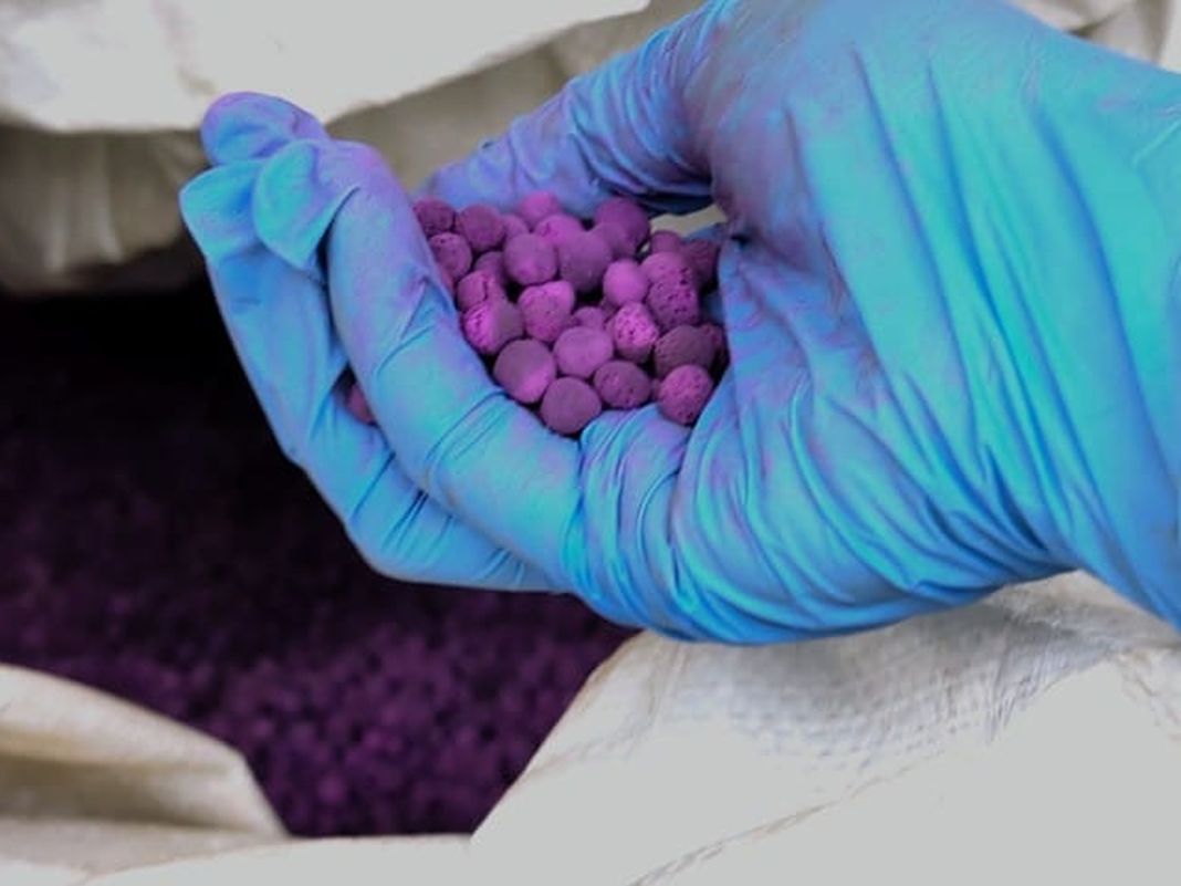 permanganato di potassio genova