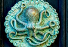 La leggenda del Polpo che ha salvato Tellaro dai pirati saraceni Polpo tellaro