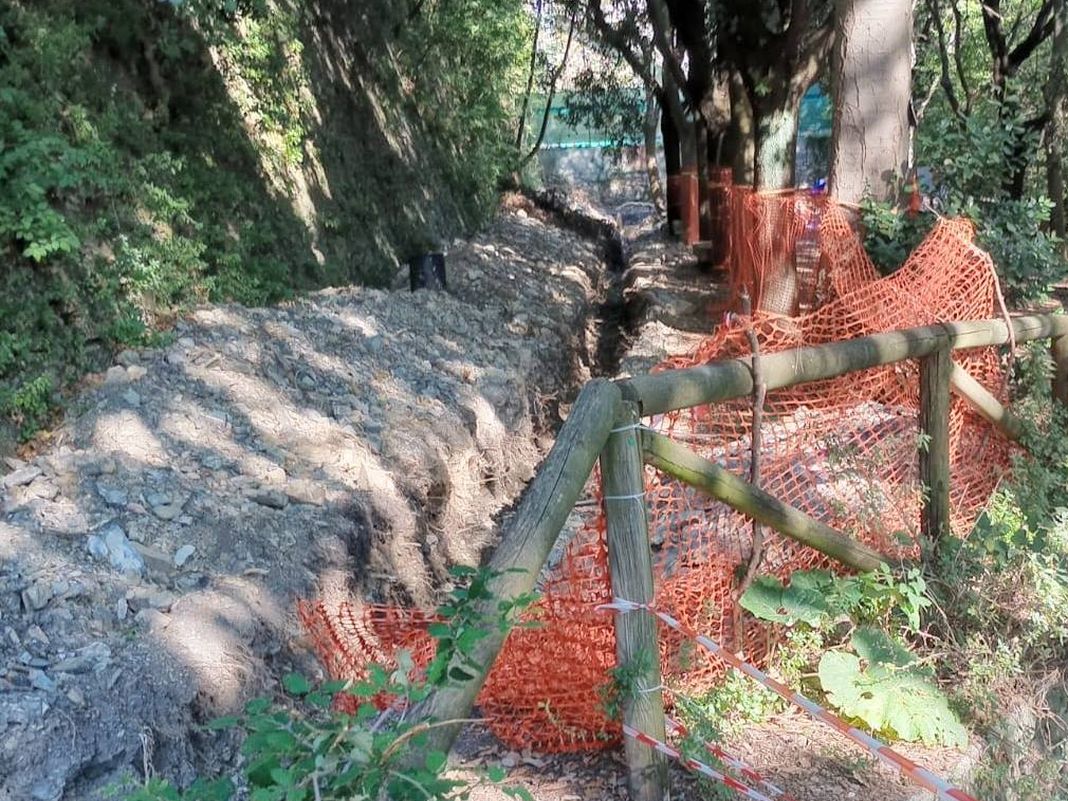 Righi alberi danneggiati via Carso