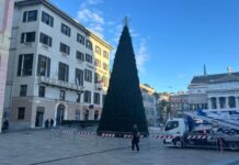 Genova, l’8 dicembre l’accensione dell’albero di Natale e delle luci in piazza De Ferrari Albero Natale Genova