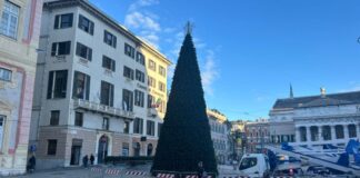 Genova, l’8 dicembre l’accensione dell’albero di Natale e delle luci in piazza De Ferrari Albero Natale Genova