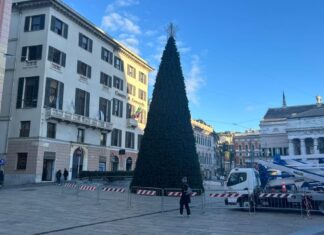 Genova, oggi l’accensione dell’albero di Natale e delle luci in piazza De Ferrari Albero Natale Genova