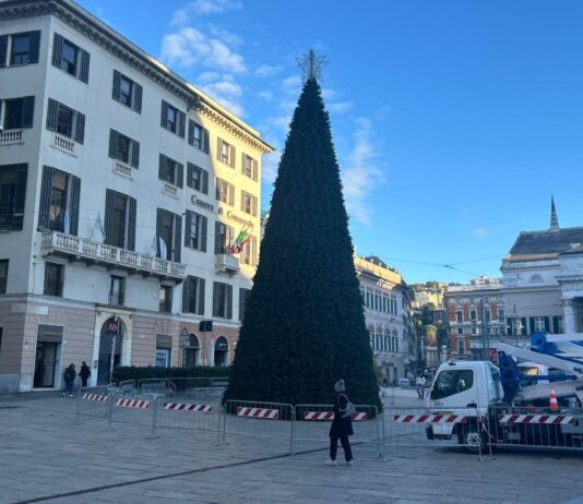 Genova, oggi l’accensione dell’albero di Natale e delle luci in piazza De Ferrari Albero Natale Genova