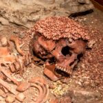 Balzi Rossi, il principe delle Arene candide sbranato da un orso? Balzi rossi resti scheletro principe arene candide