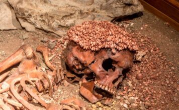 Balzi rossi resti scheletro principe arene candide