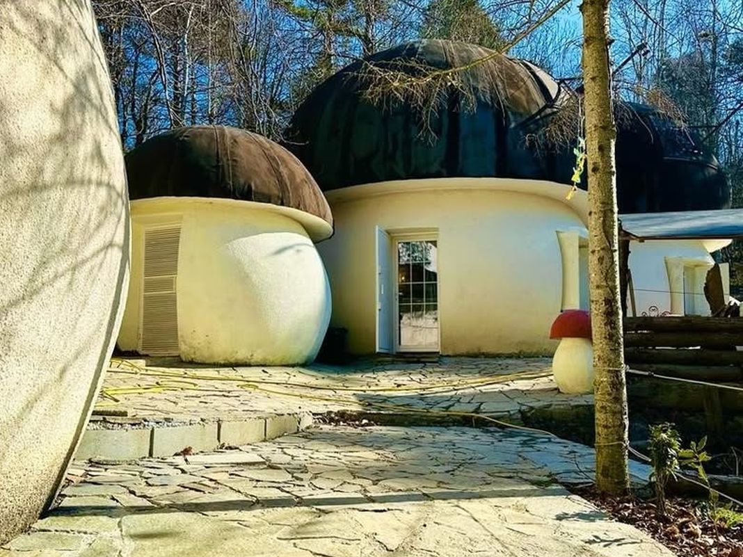 Villaggio dei Puffi bardineto