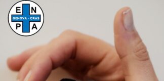 Ghiro salvato dall’Enpa migliora e verrà liberato a primavera ghiro