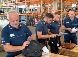 guardia finanza agezia dogane controlli