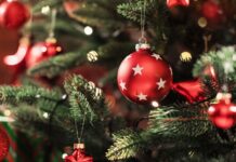 Natale Evangelico alla chiesa Bet El di corso Perrone Natale albero