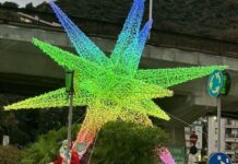 Nervi, accese le luminarie di Natale Nervi luminarie Natale