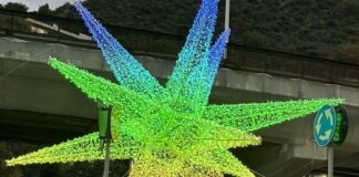 Nervi, accese le luminarie di Natale Nervi luminarie Natale