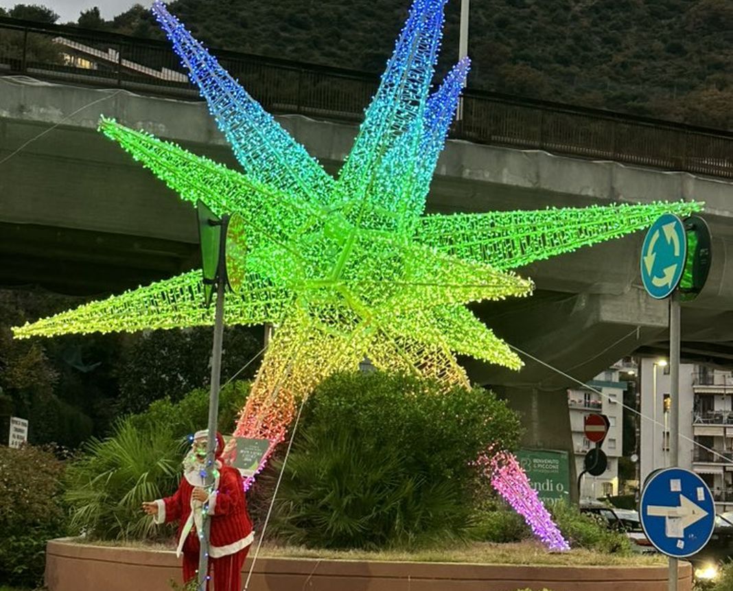Nervi luminarie Natale