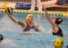 Pallanuoto, Champions League, Rapallo supera lo Spandau Berlino Rapallo pallanuoto
