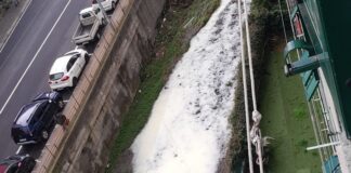 Sestri Ponente, schiuma sospetta nel rio Ruscarolo, scattano le indagini sestri ponente schiuma rio ruscarolo
