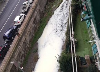 sestri ponente schiuma rio ruscarolo