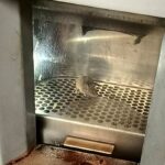 Rapallo, un topo nel distributore di bevande nella stazione