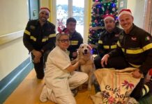 Imperia, vigili del fuoco portano doni di Natale ai bambini ricoverati vigili fuoco natale ospedale imperia