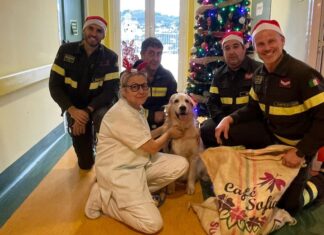 vigili fuoco natale ospedale imperia