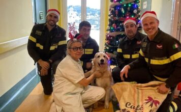 vigili fuoco natale ospedale imperia