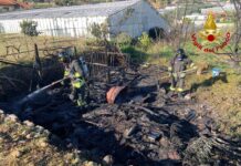 Arma di Taggia, incendio in una baracca: intervento dei vigili del fuoco Baracca a fuoco Arma di Taggia